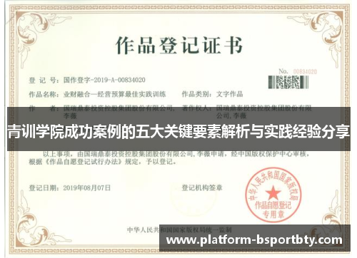 青训学院成功案例的五大关键要素解析与实践经验分享