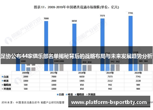 足协公布44家俱乐部名单揭秘背后的战略布局与未来发展趋势分析